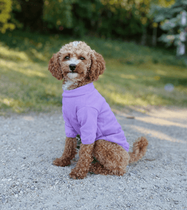 Purple Velvet Shirt