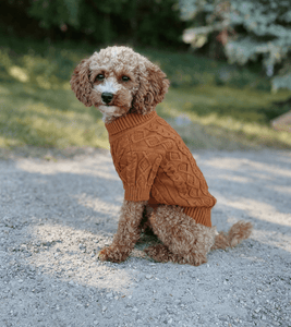 Chestnut Cable Knit Sweater